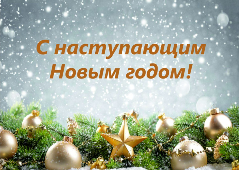 Поздравление с наступающим Новым 2025 годом от директора лицея Елены Юрьевны Миткевич.